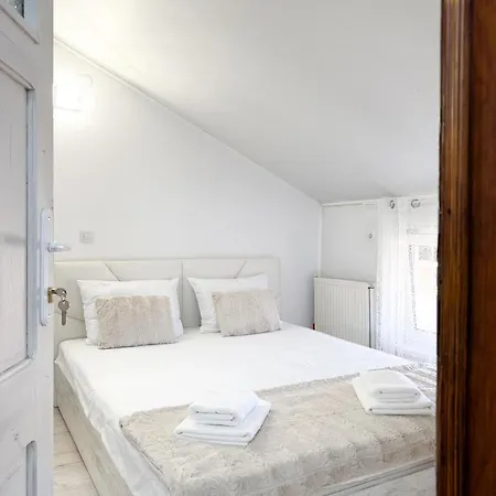 Nomad Spot Coliving